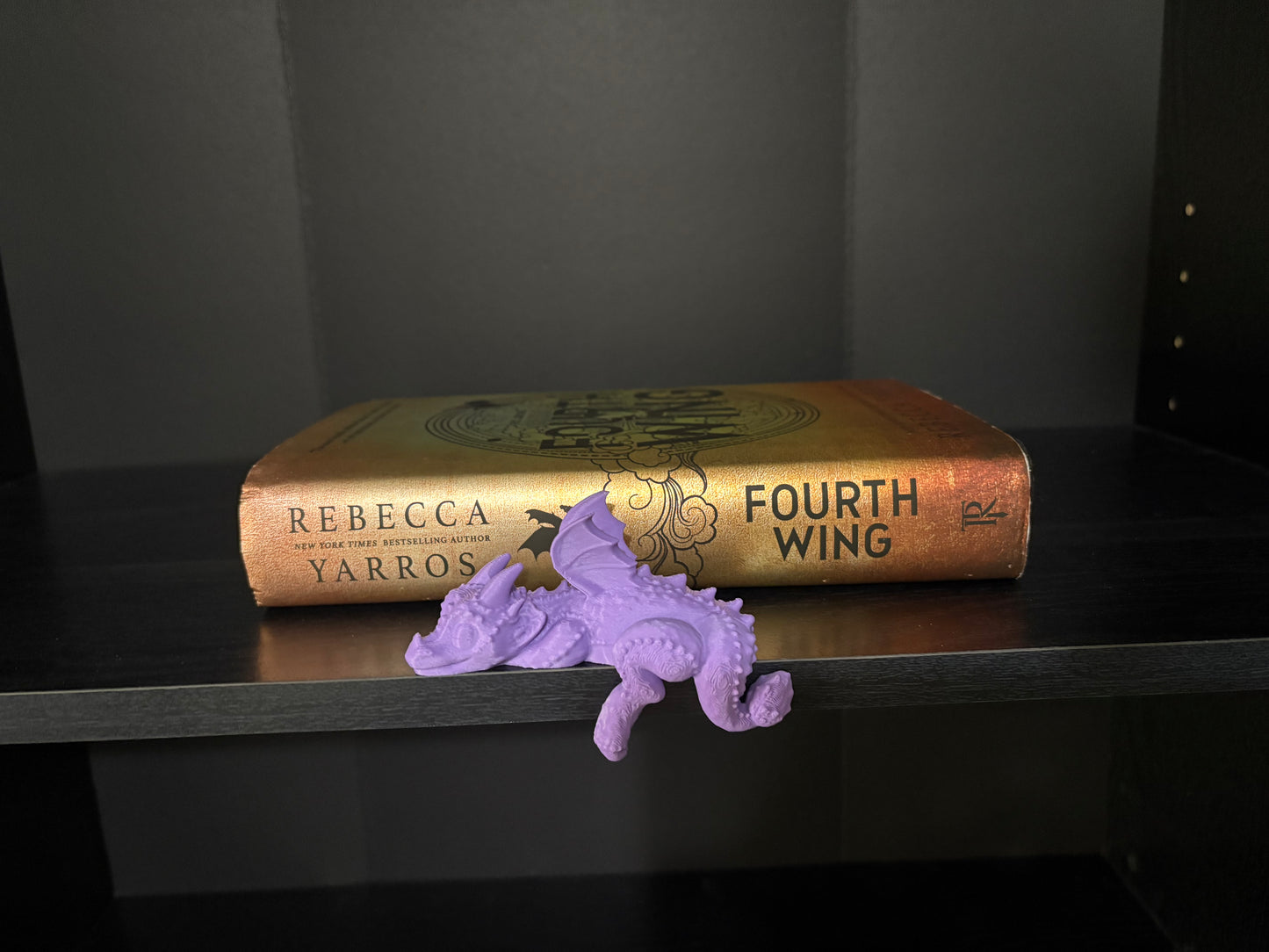 Sleeping Dragon Bookshelf Decor